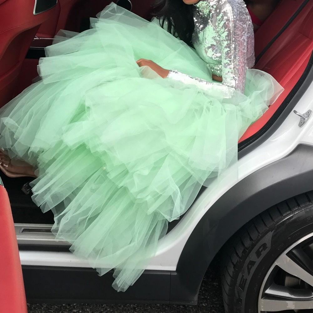Tulle Skirt